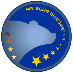 Mr Bear Europe