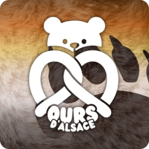 Ours d’Alsace